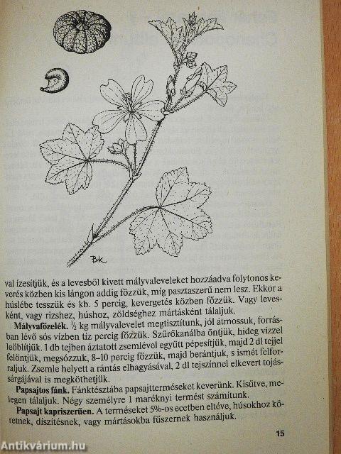 Ételek erdő, mező növényeiből