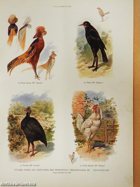 L'Illustration Janvier-Décembre 1910. I-II.