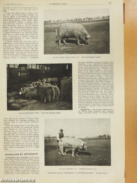 Vasárnapi Ujság 1908. (nem teljes évfolyam)