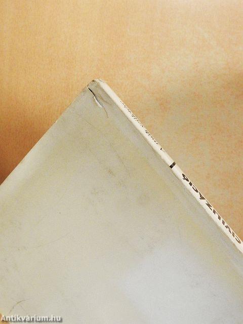 Az indiai civilizáció