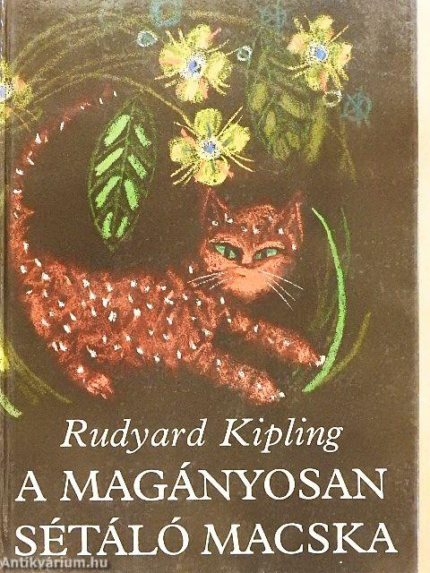 A magányosan sétáló macska