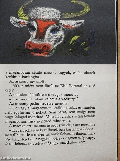 A magányosan sétáló macska