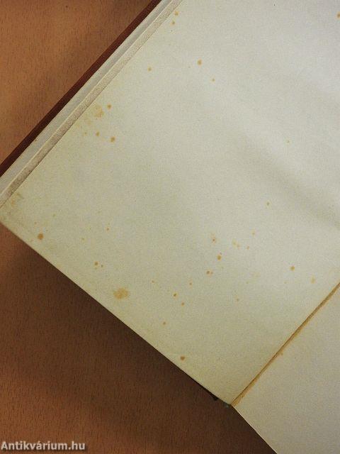 Eine Frau fliegt nach Fernost