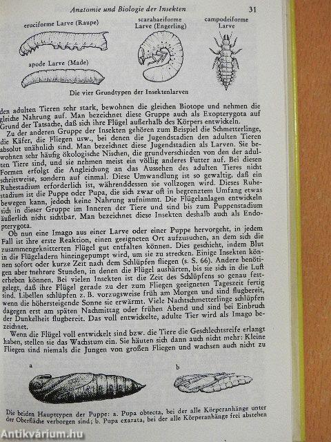 Insekten Mitteleuropas