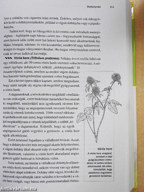 Gyógynövénypatika