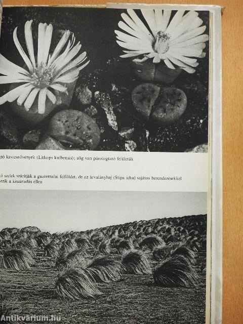 Rejtelmes-e a növényi élet?