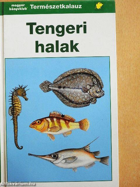 Tengeri halak