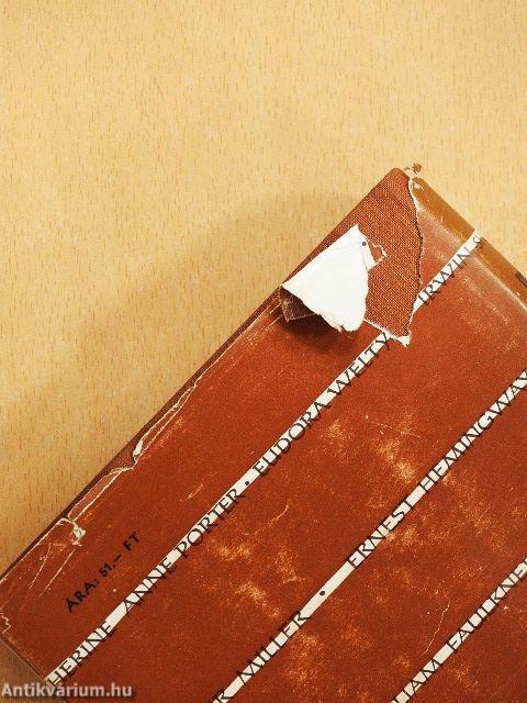 Mai amerikai elbeszélők