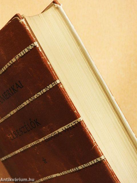 Mai amerikai elbeszélők