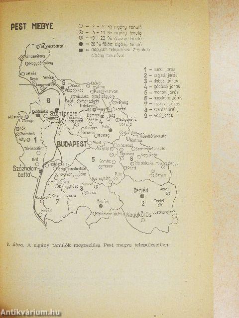 Cigánygyerekek hátrányai és esélyei