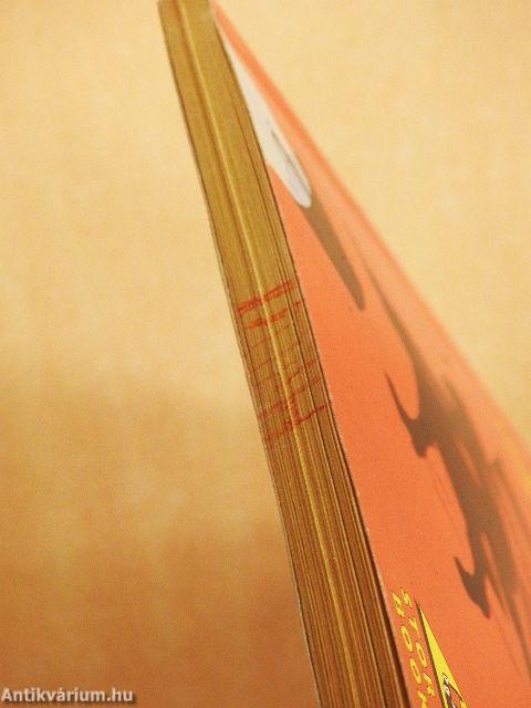 A bad spell for the worst witch