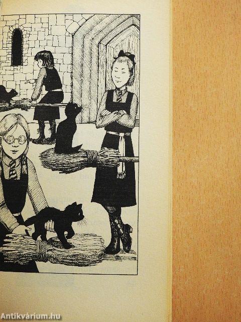 A bad spell for the worst witch