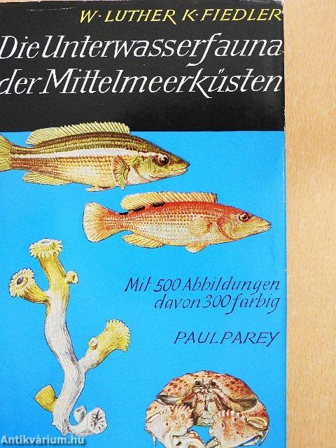 Die Unterwasserfauna der Mittelmeerküsten