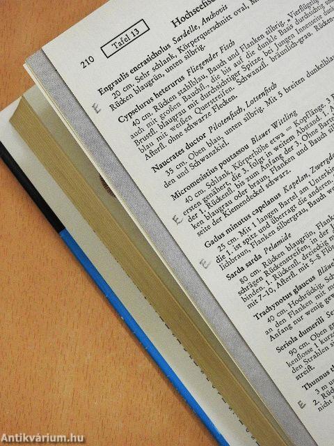 Die Unterwasserfauna der Mittelmeerküsten