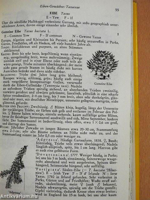 Die Wald- und Parkbäume Europas