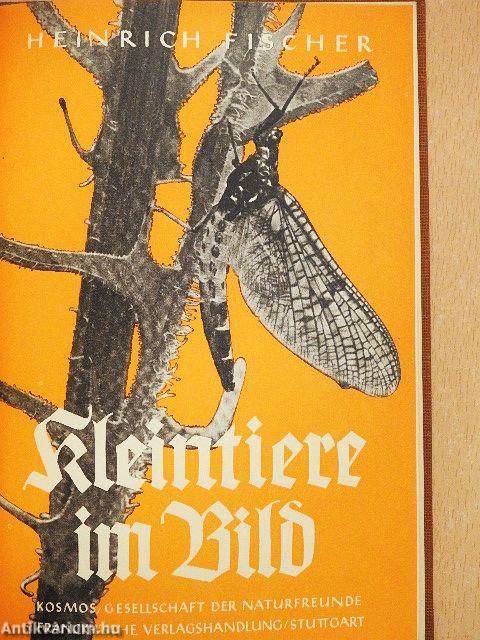 Kleintiere im Bild (gótbetűs)