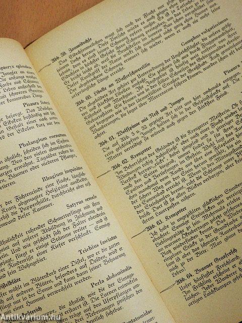 Kleintiere im Bild (gótbetűs)