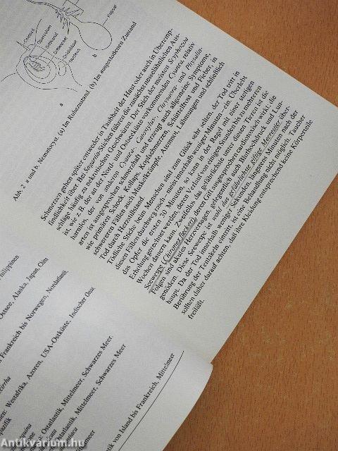 Gift-Tiere und ihre Waffen