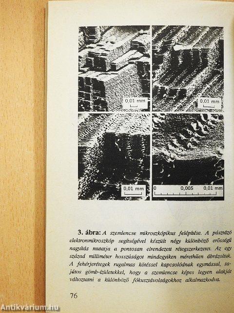 Ha az állatok beszélni tudnának...