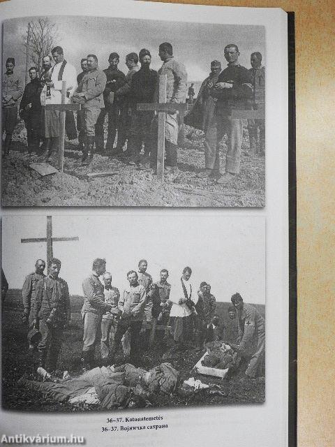 Óbecse, Péterréve és Bácsföldvár első világháborús (1914-1918) katonai áldozatai