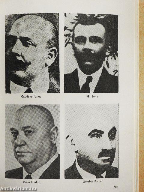 "Küzdtünk híven a forradalomért..."