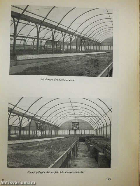 Virágtermesztés növényházban