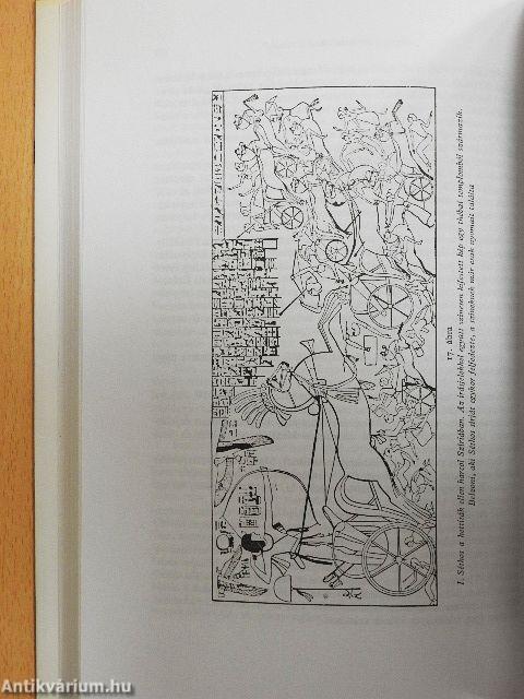 A régészet regénye