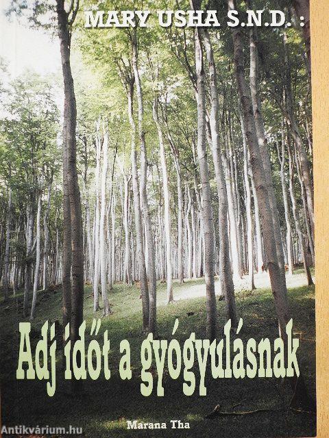 Adj időt a gyógyulásnak