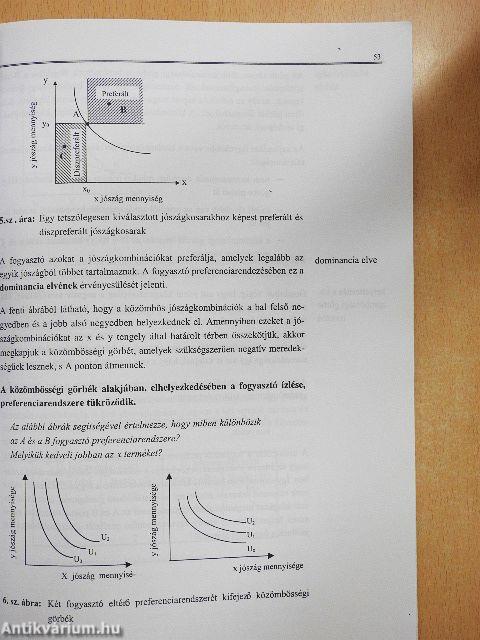 Mikroökonómia távoktatással