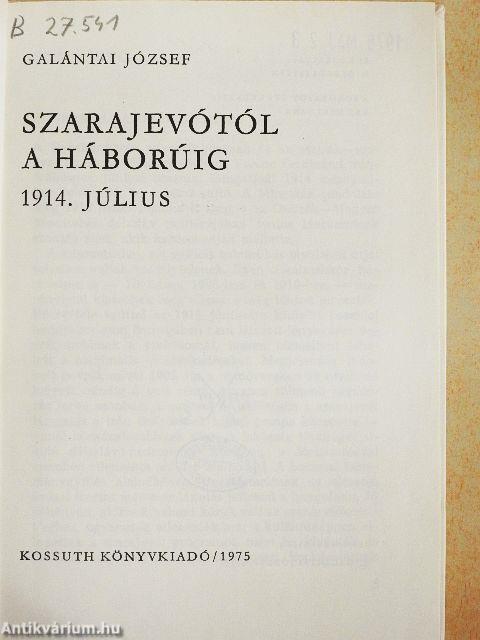 Szarajevótól a háborúig