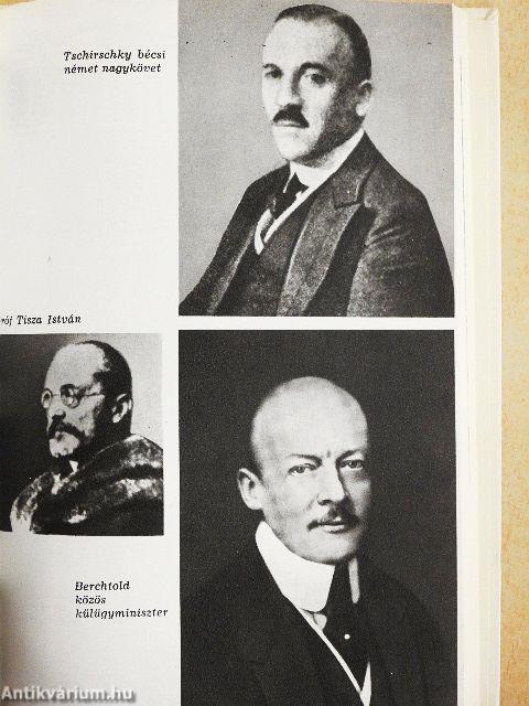 Szarajevótól a háborúig