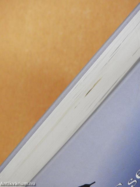 A komáromi pontonhíd (dedikált példány)