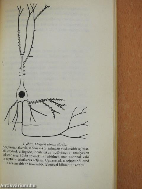 Mi a neurobiológia? (dedikált példány)