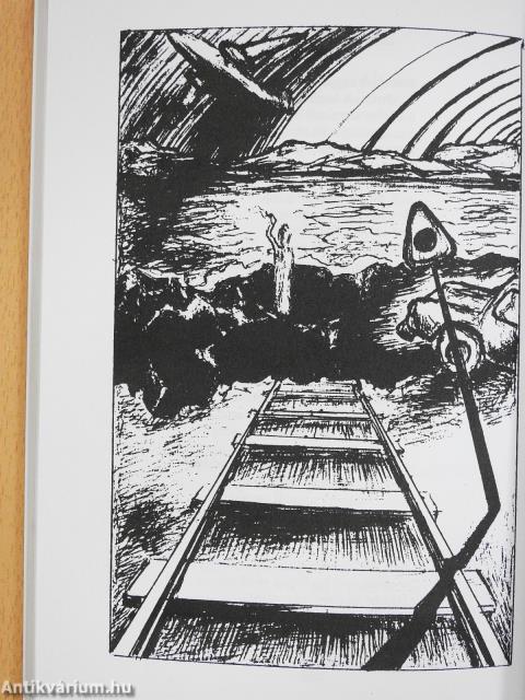 A karmester vár (dedikált példány)