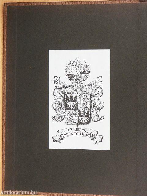 Magyar föld, magyar faj I-IV.