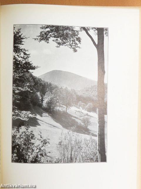 Magyar föld, magyar faj I-IV.