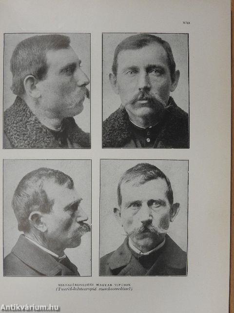 Magyar föld, magyar faj I-IV.