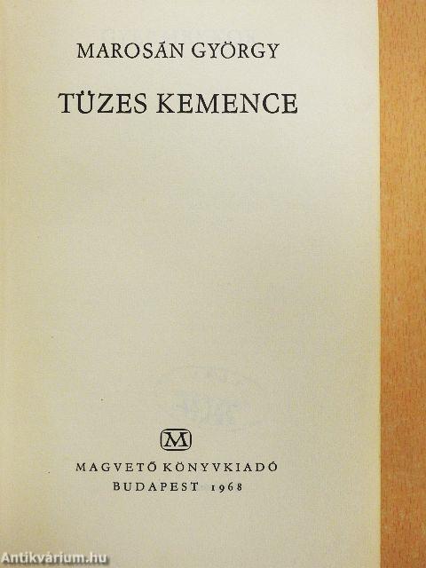 Tüzes kemence