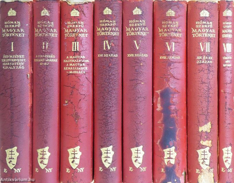 Magyar történet I-VIII.