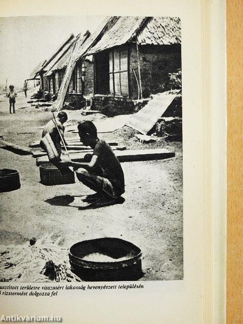 Hajóstoppal az Indonéz-szigetvilágban