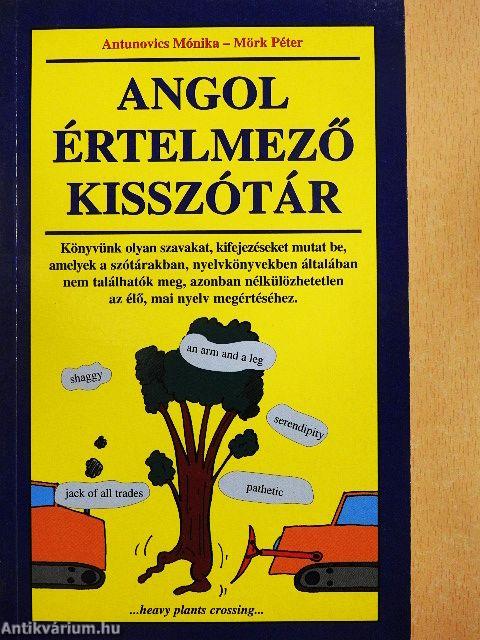 Angol értelmező kisszótár