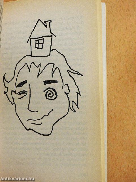 Angol értelmező kisszótár