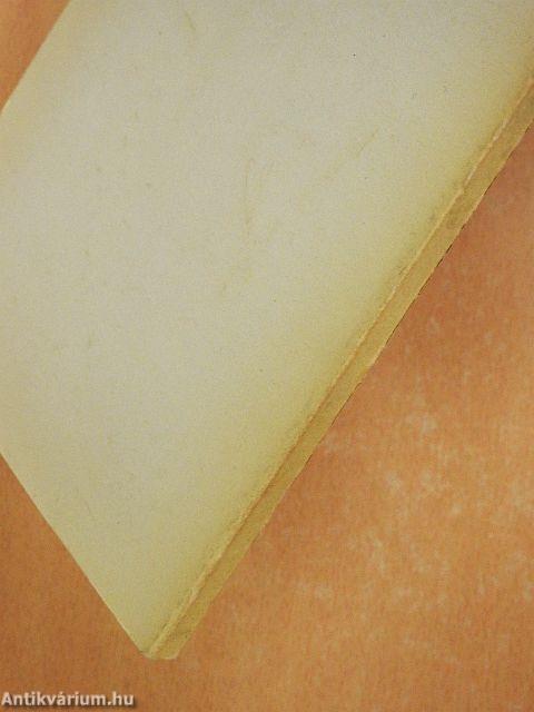 Lakóházjavítási tanácsadó