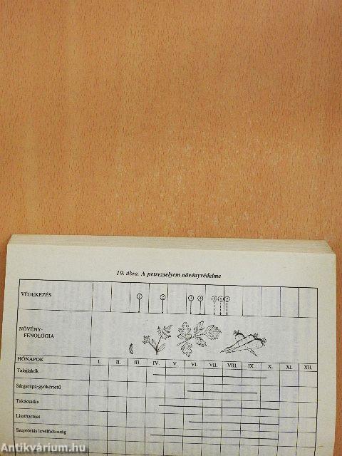 Milyen szert használjunk?