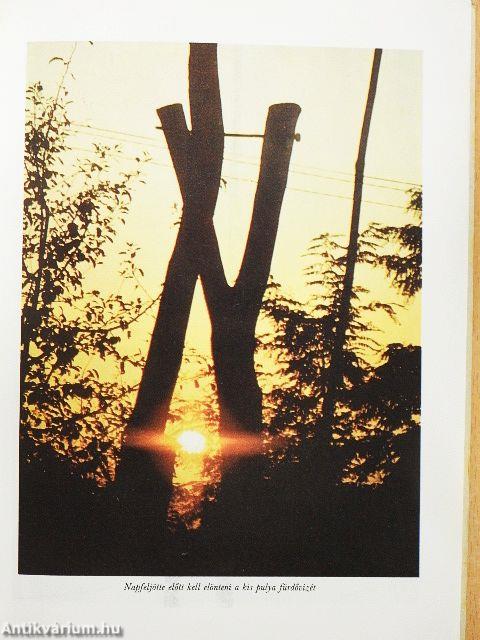 Népi gyógyítások Szatmárban