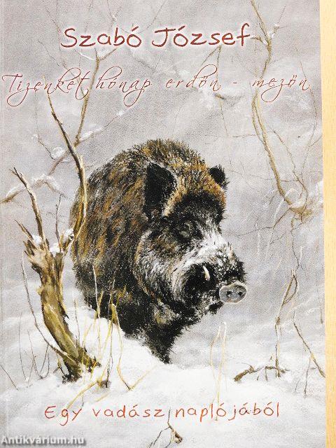 Tizenkét hónap erdőn-mezőn