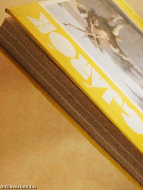 Gyalogszerrel a Rudolf-tóhoz