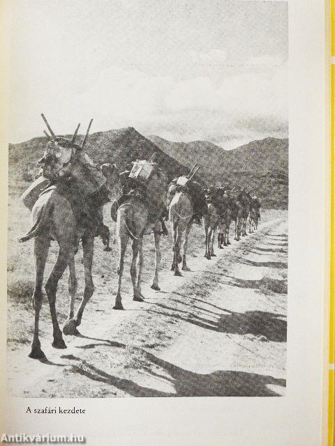 Gyalogszerrel a Rudolf-tóhoz