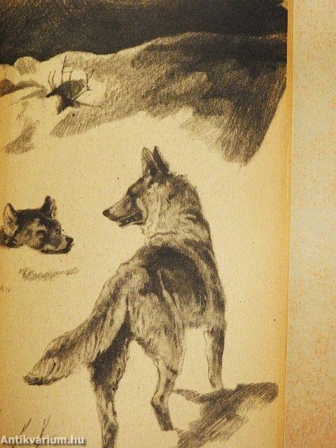 A vadon szava/A mexikói