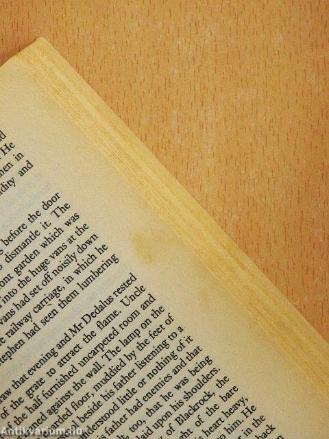 A Portrait of the Artist as a Young Man